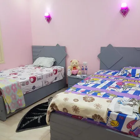 Mario Shared Apartment Дешевый & Общая Квартира